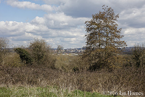Student Castle existing View : Click to enlarge Student Castle existing View