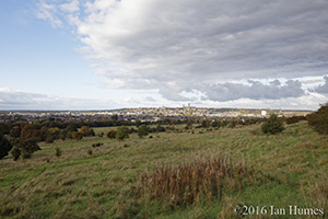 St. Mark's Student Village Existing View