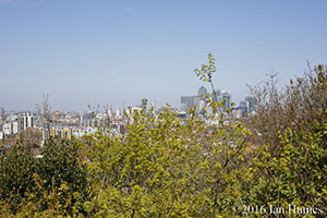 Sun Wharf Existing View