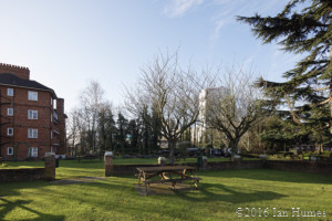 Anthology Existing View