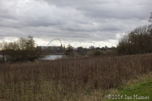 Anthology Existing View