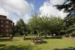 Anthology Existing View