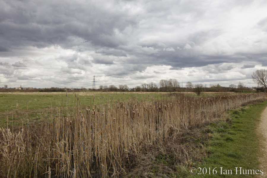 Beck Square Existing View : Click to enlarge Beck Square Existing View