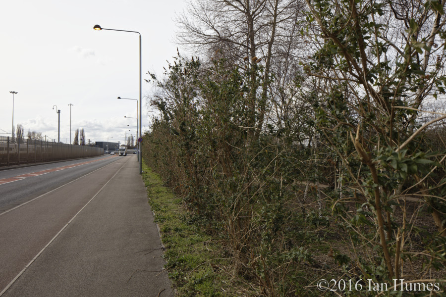 Beck Square Existing View : Click to enlarge Beck Square Existing View