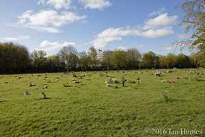 116 Cockfosters Road Existing View