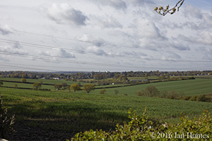 116 Cockfosters Road Existing View