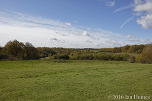 116 Cockfosters Road Existing View