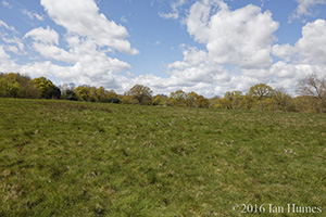 116 Cockfosters Road Existing View