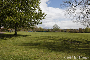 116 Cockfosters Road Existing View