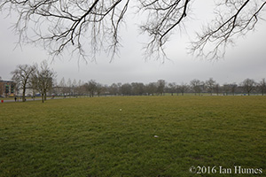 Seven Sisters Road Existing View